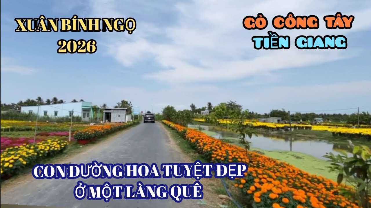 MỪNG XUÂN BÍNH NGỌ . Về Quê Tiền Giang . Không Khí Tết Tràn Ngập Khắp Mọi Nơi 