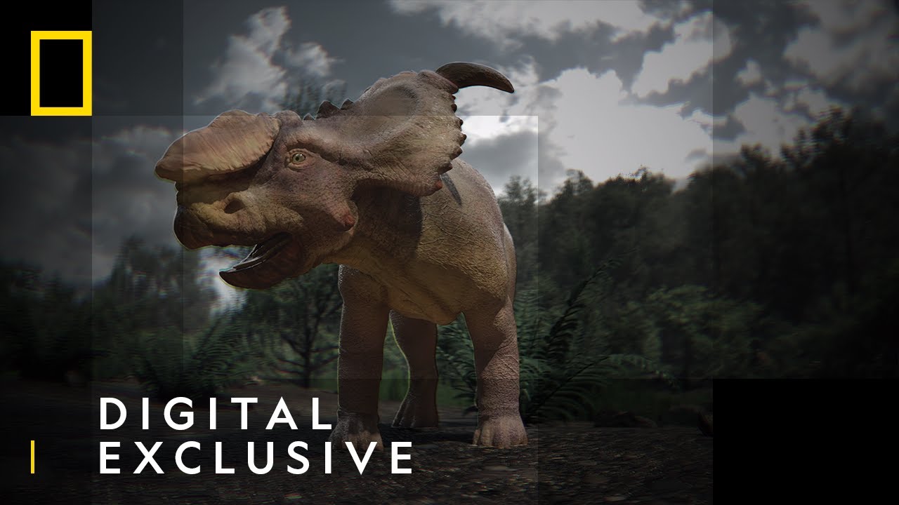 Did Dinosaurs Live In Alaska? | Hunting Alaskan Dinosaurs | National Geographic UK.