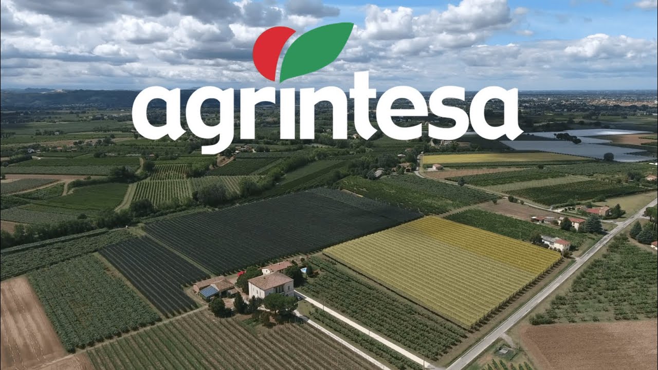 Agrintesa - presentazione aziendale 2025