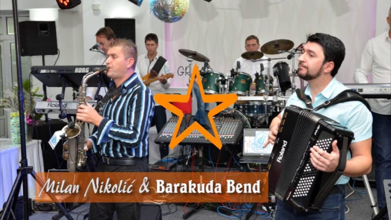 Milan Nikolic i Barakuda Bend - Kolo  (AUDIO)