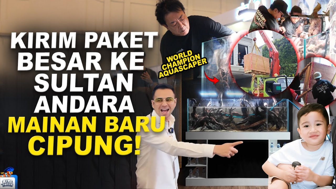 SETTING AQUASCAPE JUARA DUNIA FUKADA X AQUAIR KE RUMAH SULTAN ANDARA RAFFI AHMAD