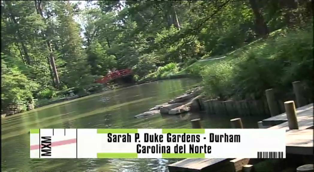 Madrileños por el mundo: Carolina del Norte