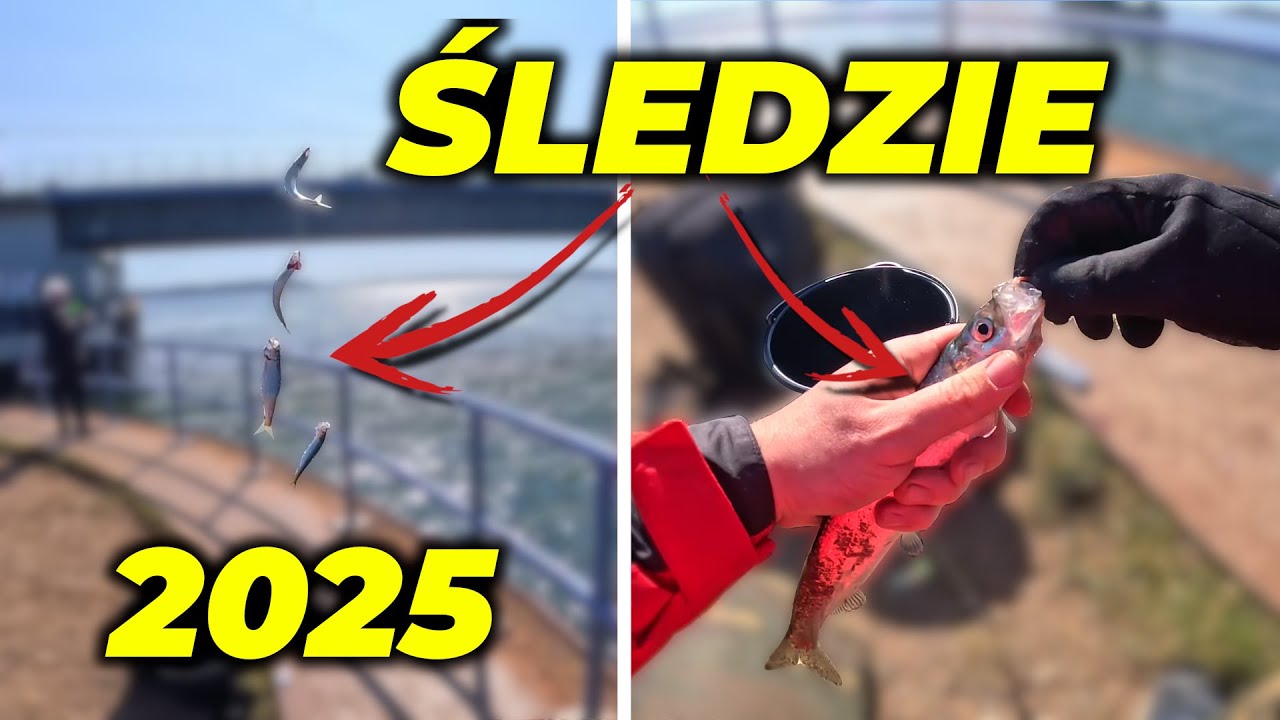 Pierwszy raz na Śledziach! Czy to się udało?