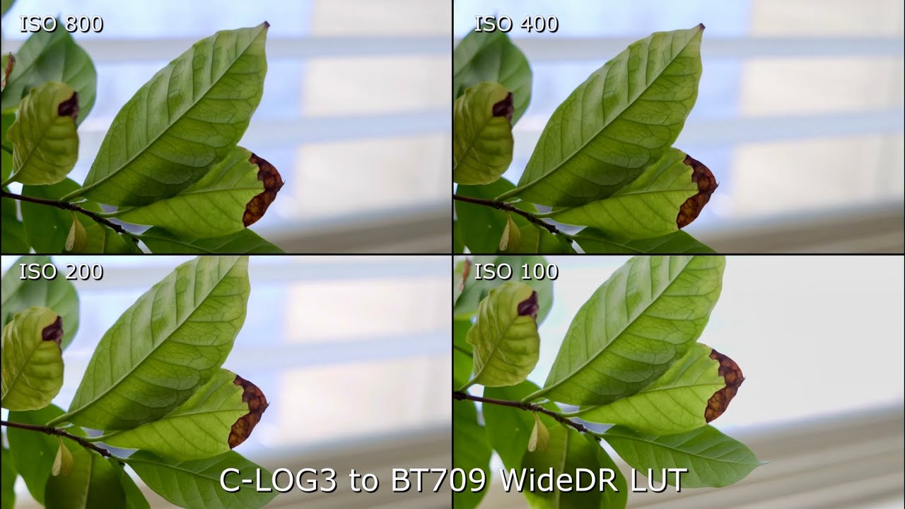 Canon C-Log 3: что происходит при ISO ниже 800?
