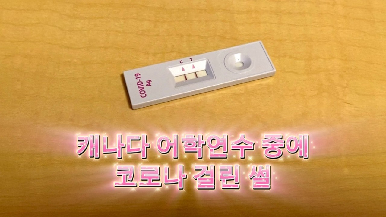 어학연수 중에 코로나 걸린 썰 푼다😷🦠 | 캐나다 빅토리아에서 한달살기🇨🇦 ep.3