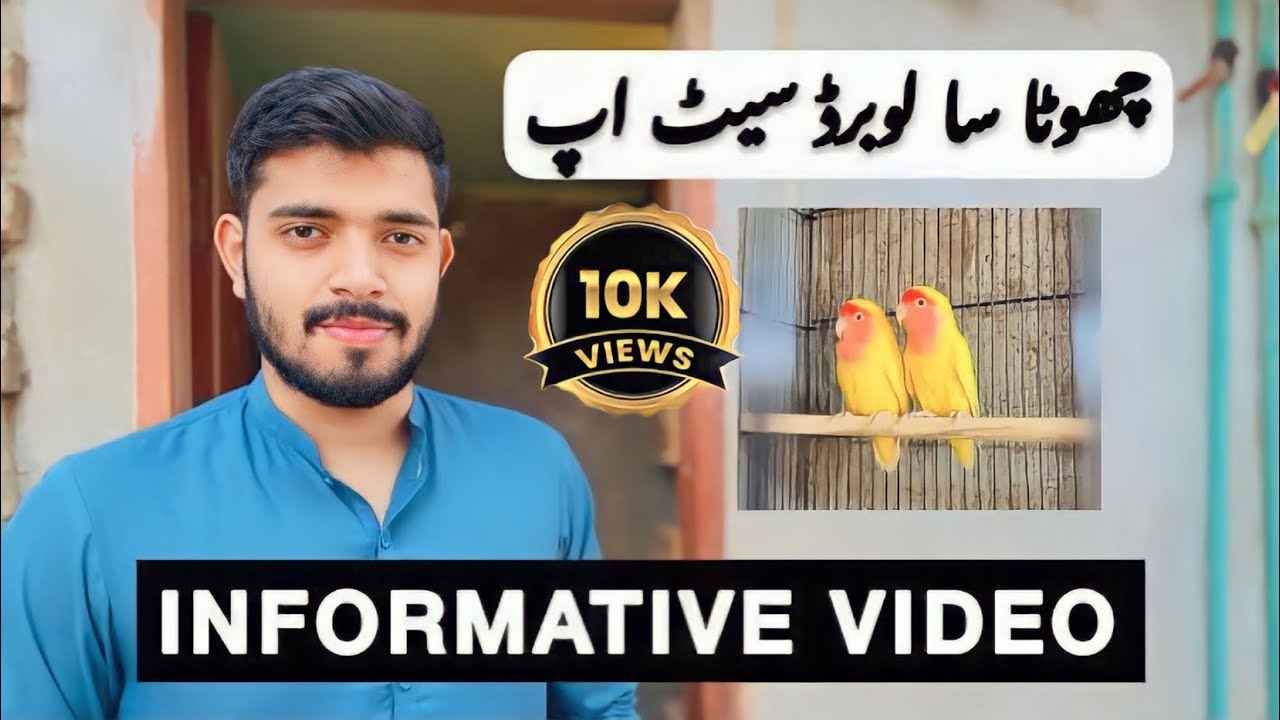 Love birds small cage setup / Infomative video (@naveedsheikhofficial )HZ Aviary