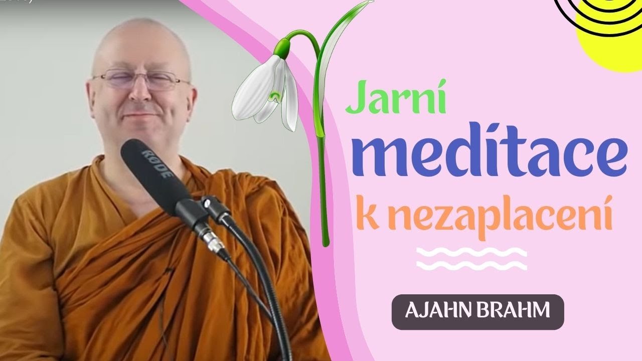 Jarní meditace🧘(k nezaplacení) | Ajahn Brahm | [české znění] | 21.11.2015