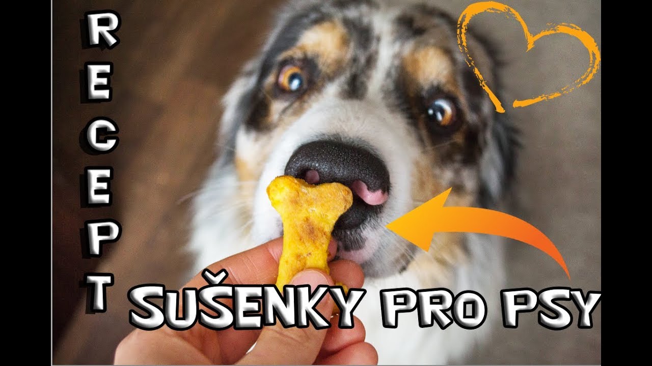 RECEPT na psí SUŠENKY/CUKROVÍ | Veronika&Akim