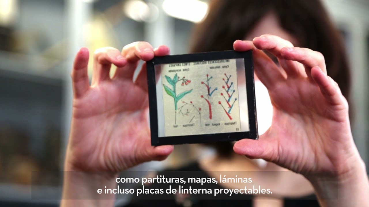 Catálogo Colectivo del Patrimonio Bibliográfico
