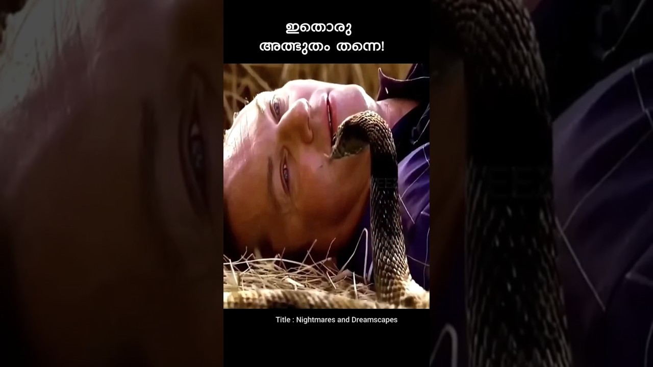 ഭാഗ്യം കൊണ്ട് മാത്രം രക്ഷപ്പെട്ടു! 😱#styruz_ammus #movieexplanation #shortsfeed #shorts