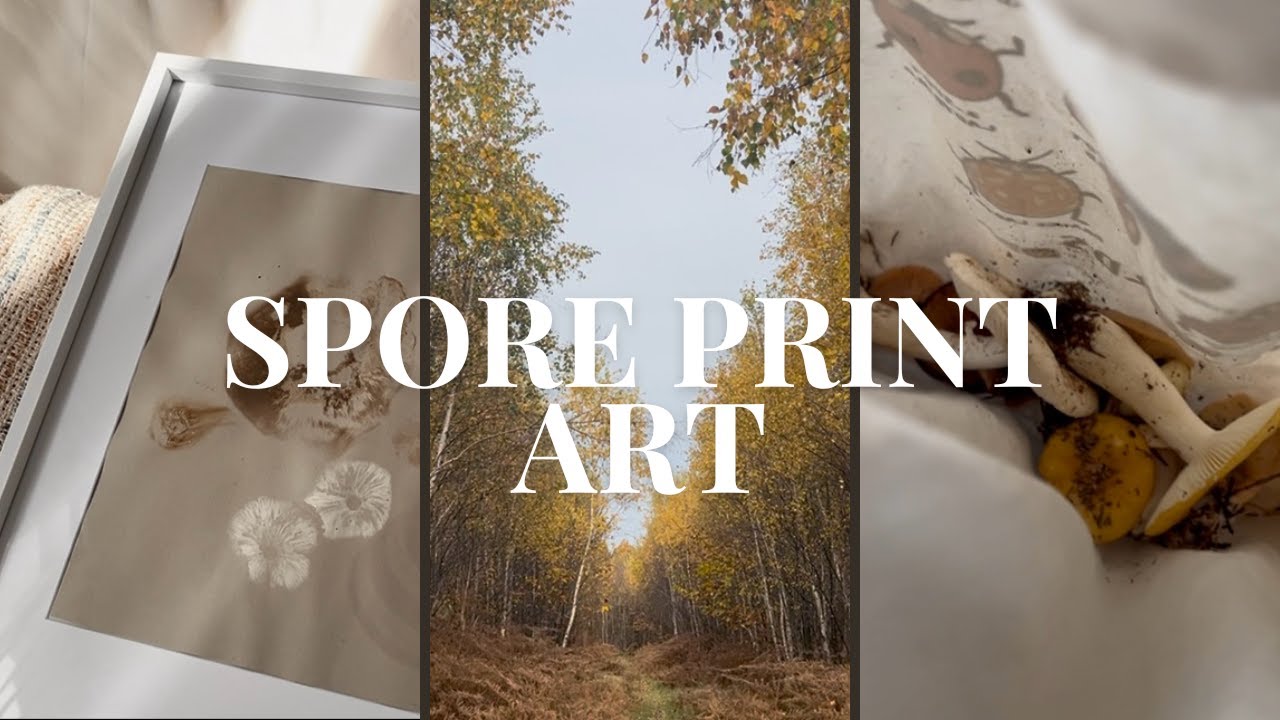 Turning Wild Mushrooms into Spore Print Art | Foraging & Finding Hen of the Woods