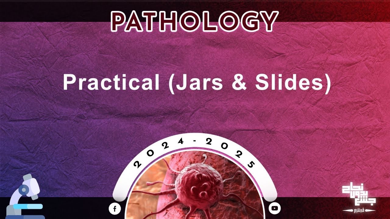 Pract : Jars and Slides of Lymphatic system ; Pathology