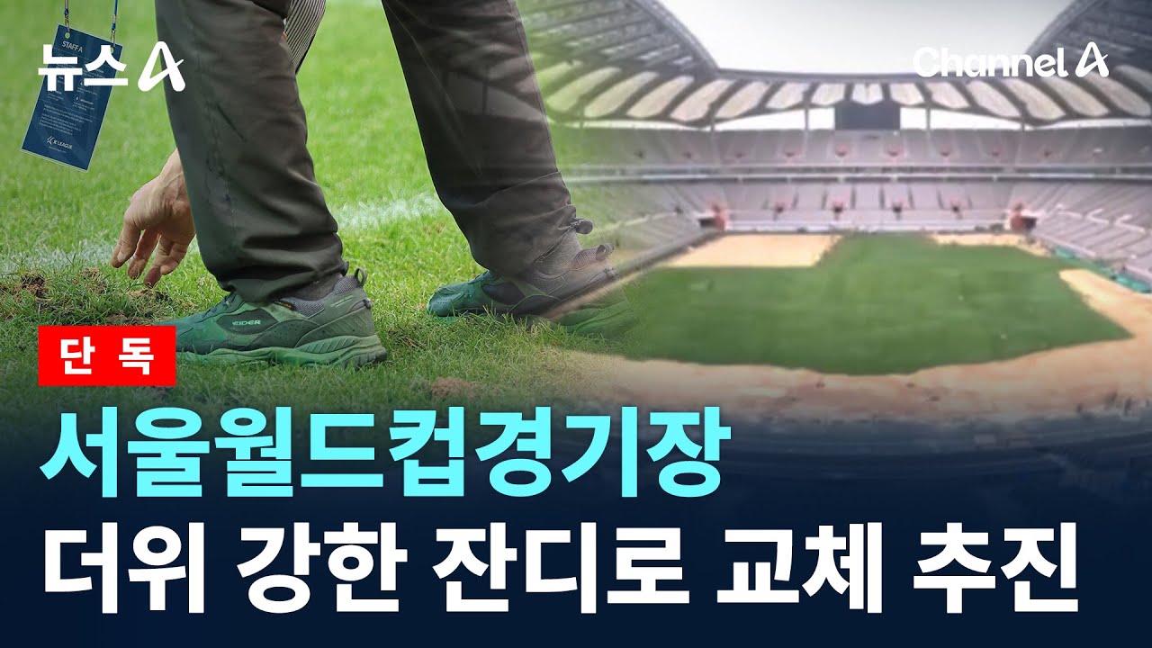 [단독]서울월드컵경기장, 더위 강한 잔디로 교체 추진 / 채널A / 뉴스A