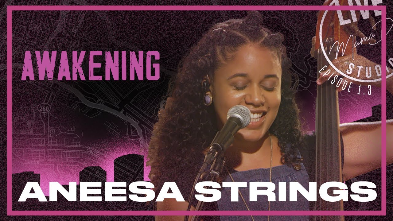 Aneesa Strings 