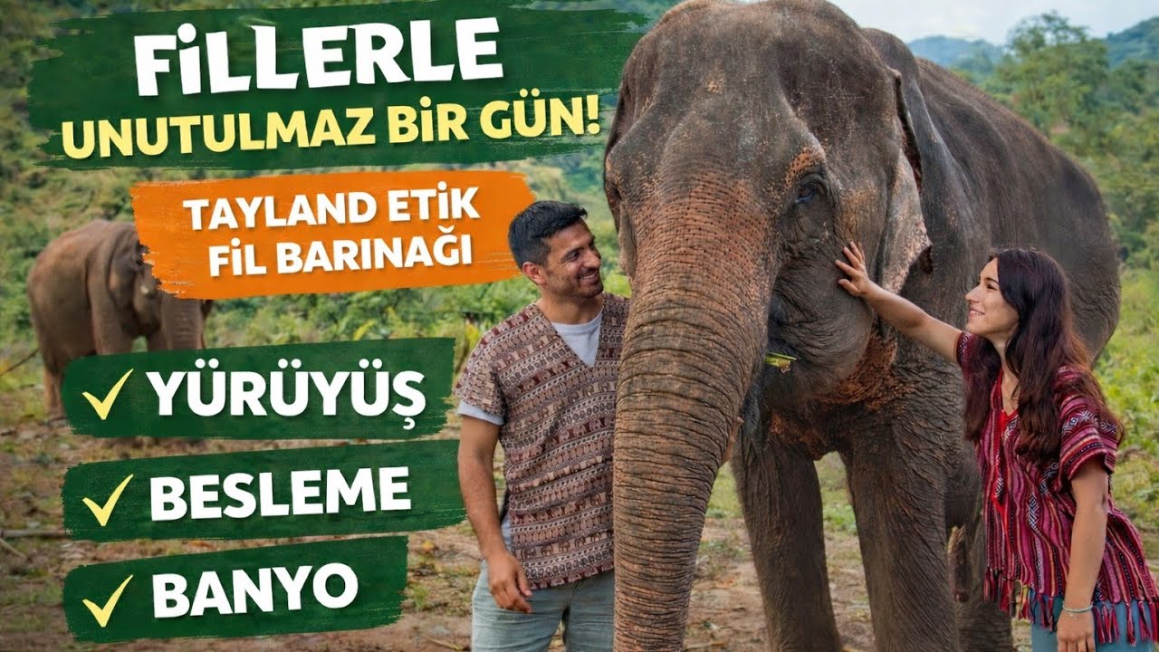 Fil Bakıcısı Olduk - Tayland Gezi Vlogu  #13