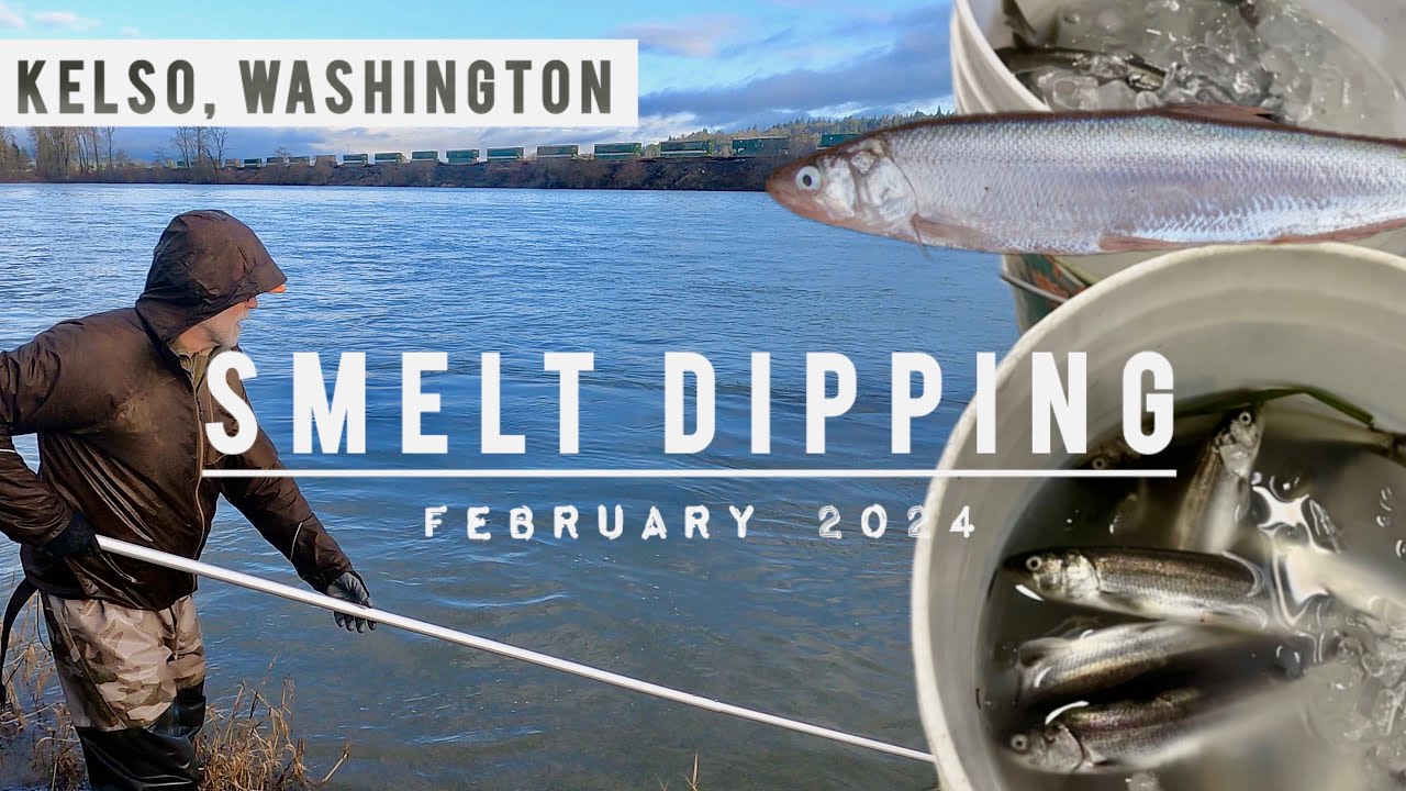 Smelt Dipping in Kelso, Washington