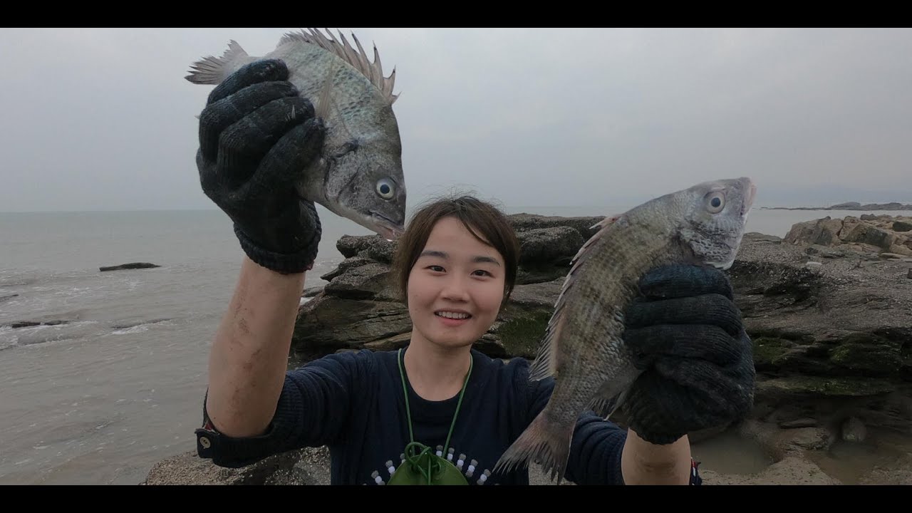 猪猪去打海蛎发现水坑有动静，直接一口气舀干，抓俩黑鲷还有鱼群