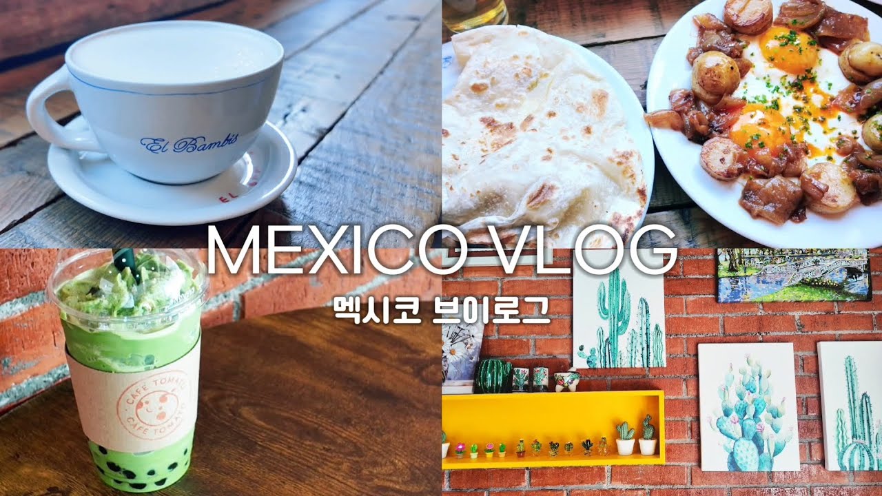 멕시코 브이로그🇲🇽_아포다카의 살기좋은 동네 | 한국빵먹고 브런치먹은 주말 | 어이없는 멕시코택배 | ㅣ