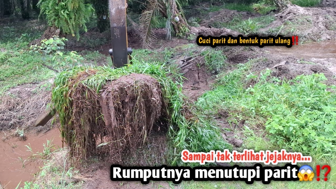 Sampai tak Terlihat Jejaknya||Rumputnya menutupi Parit😱⁉️Cuci Parit dan bentuk Ulang‼️