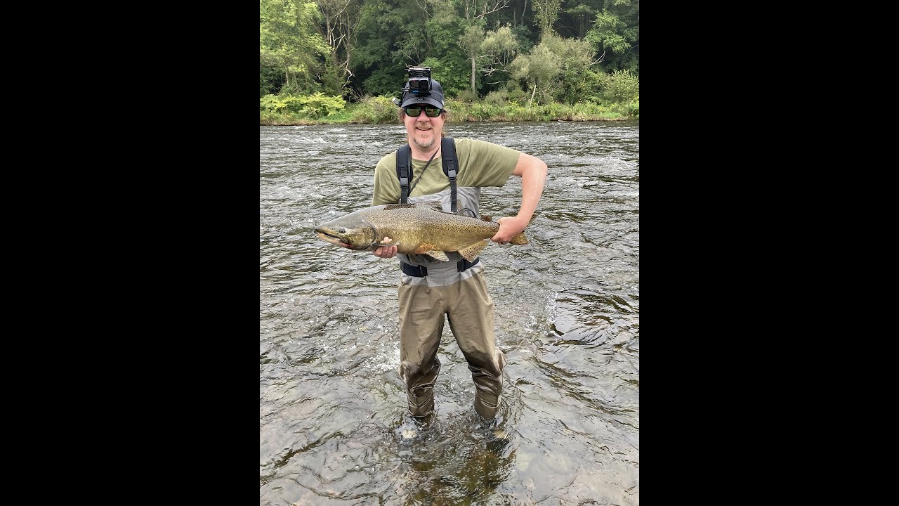 Fly Fishing for Salmon on the Salmon River in Pulaski NY - Day 2