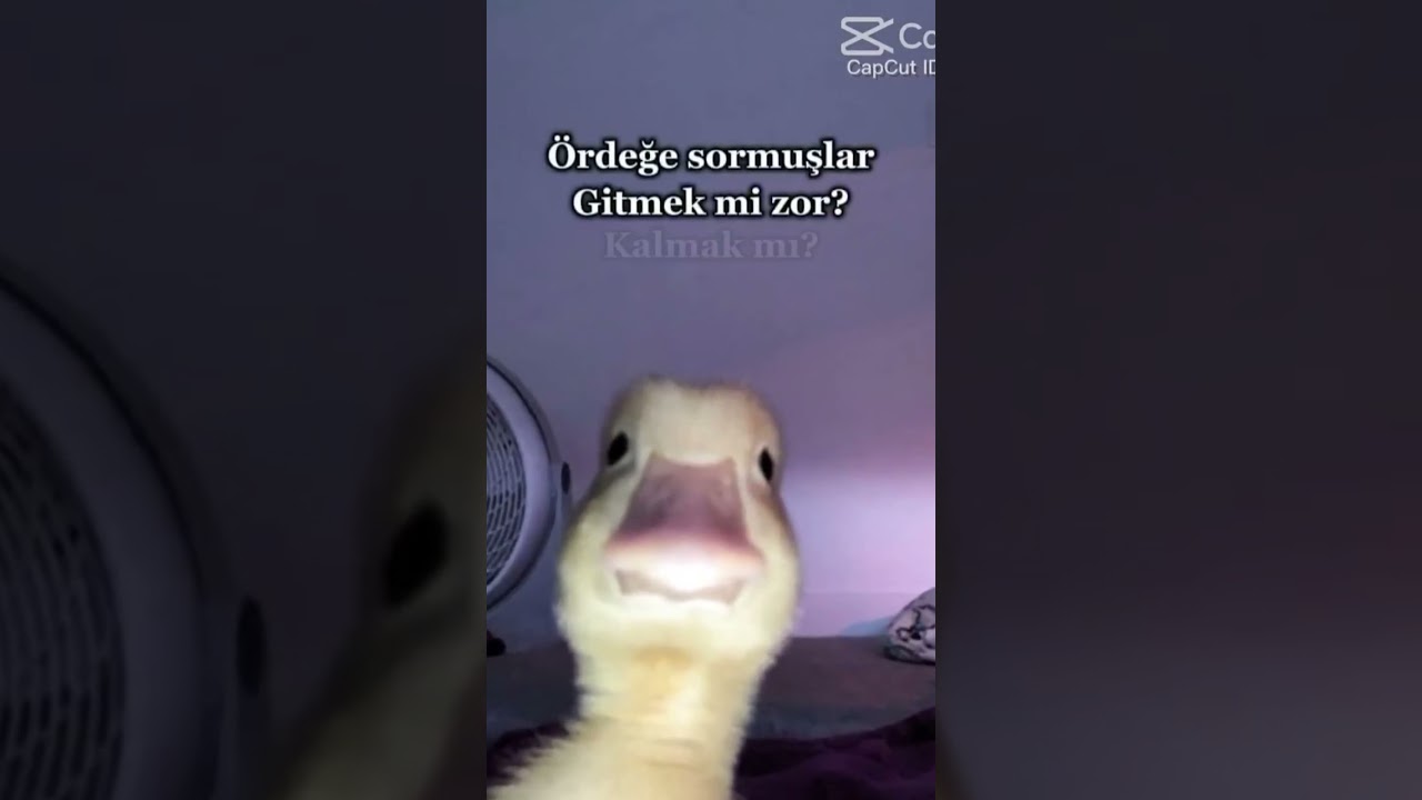 #keşfetbeniöneçıkar