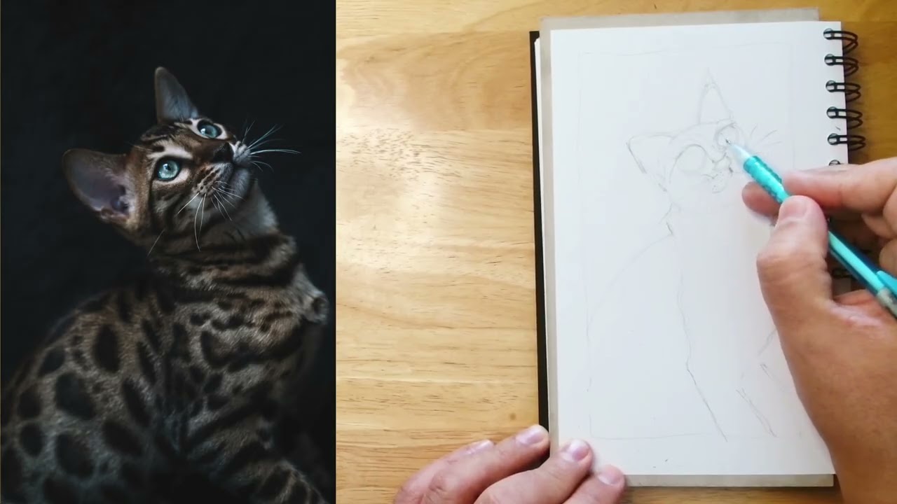 Let's Draw Together 13: Neon Noir Bengal Cat.     Lo Fi jams, drawing, company, background music,