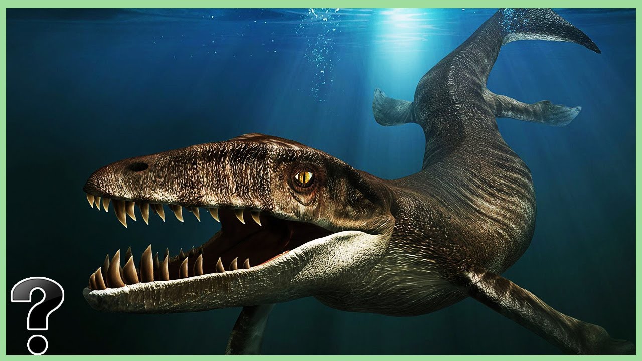 What If The Dakosaurus Didn't go Extinct?