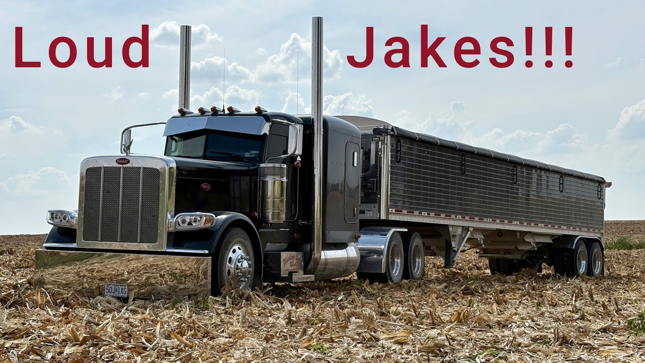 Hauling A Load Of Corn From The Field To The Elevator!!! #peterbilt #bigrig #hopper #389 #loud