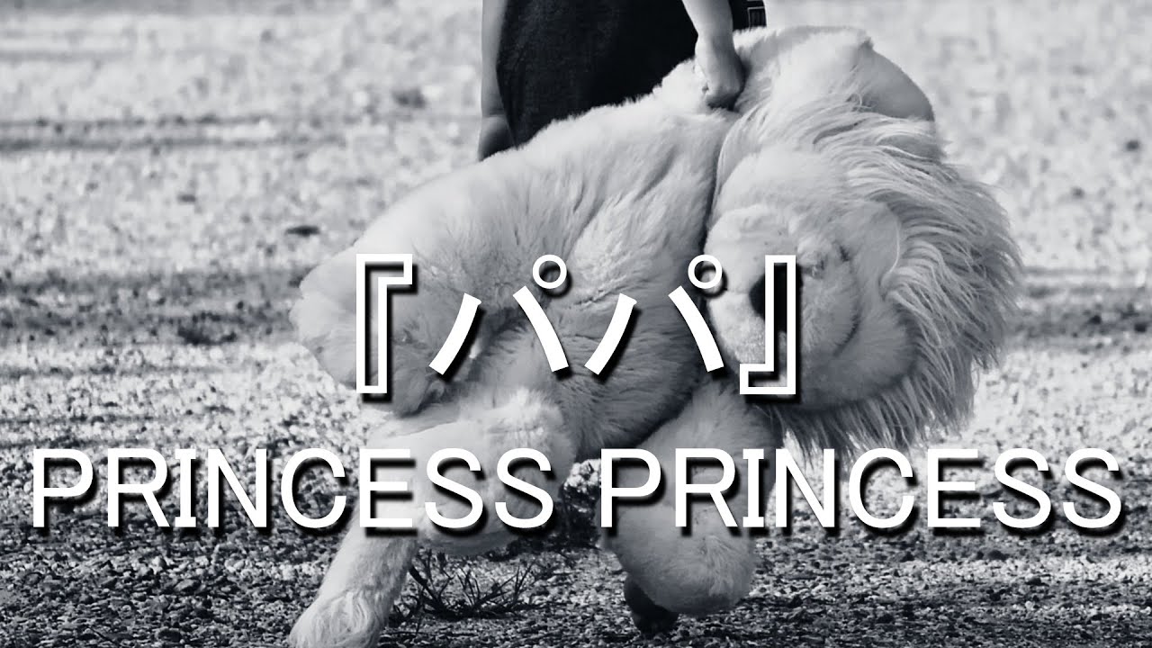 パパ  ー PRINCESS PRINCESS ー