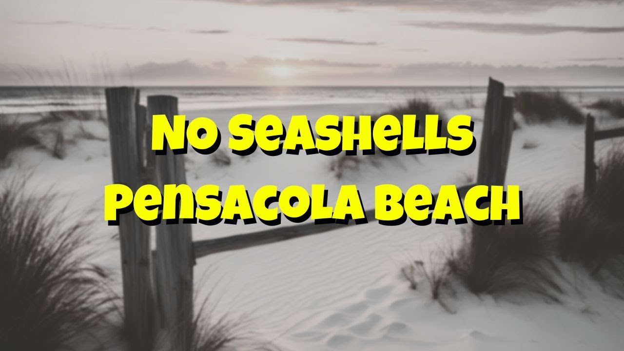 Visit Pensacola Beach for SEASHELLS ??