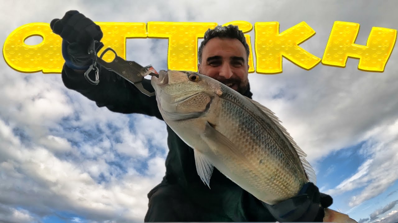 Συναγρίδα 2,1kg αττική με shore jigging
