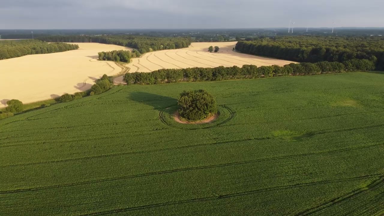 DJI Mini 2 Altenhof Eckernf&ouml;rde Schleswig-Holstein 23.07.21 4K UHD