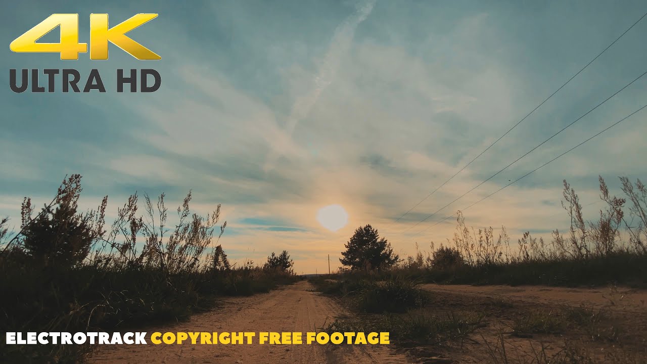 Forest Road Sunset Sky Background video 4K | No copyright footage | Free Download