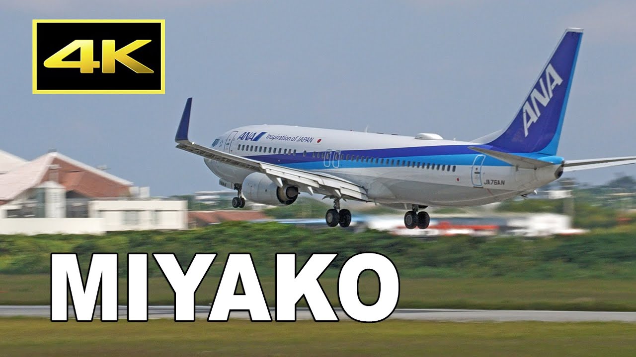 [4K] Plane Spotting at Miyako Airport 2021 / 宮古空港 ANA
