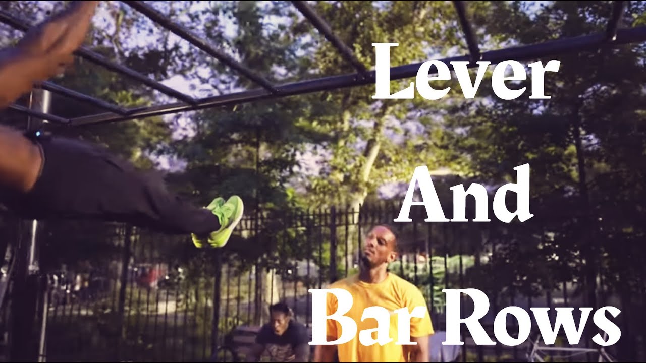 Bar Rows /Lever workout