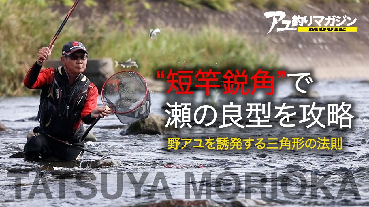 “短竿鋭角”で瀬の良型を連発［鮎釣りテクニック］