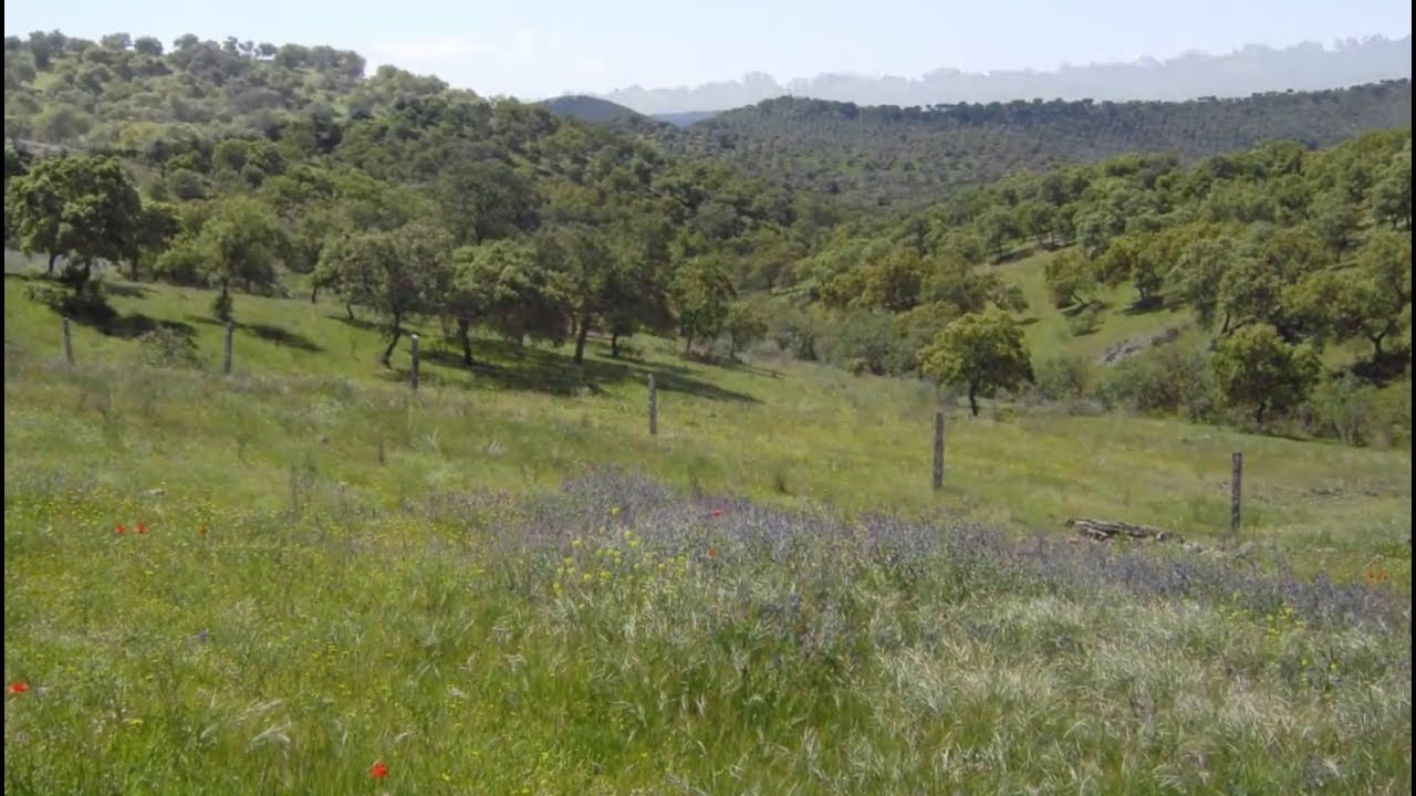 Finca ganadera y cinegética | AgroAnuncios.es