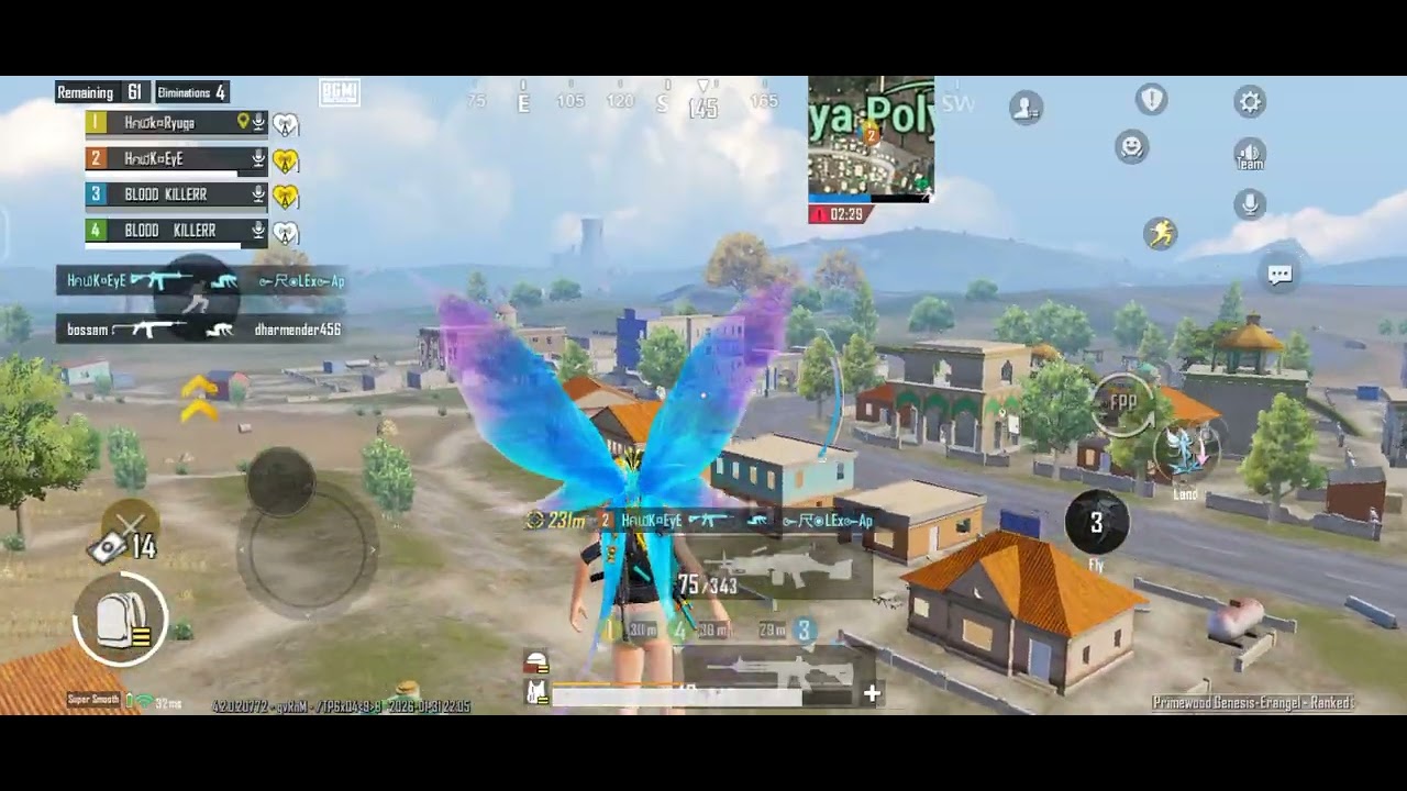 Ray hawk eye Clutch 
