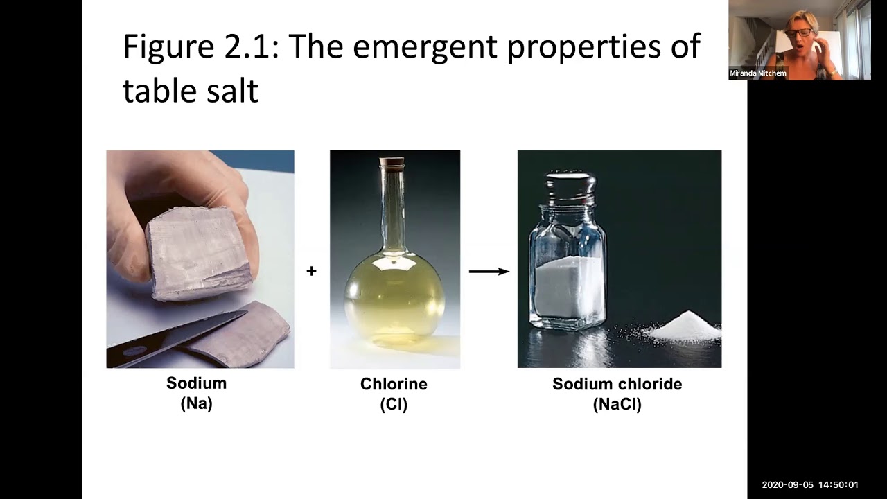 Biology - MOD 3 Lecture Video