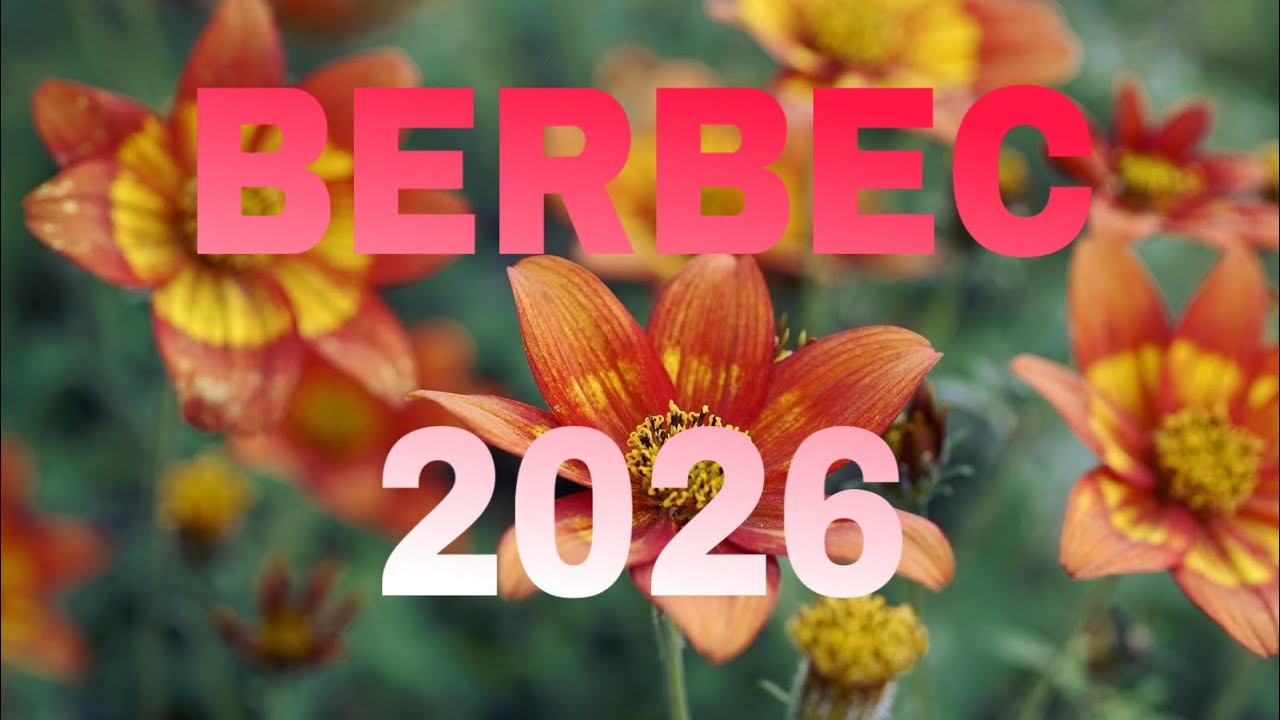 BERBEC♈2026 DAA ..”ATINGI”….. SI VEI AVEA ..ACEA INDEPENDENȚĂ SUFLETEASCĂ ȘI FINANCIARĂ 😇💐💯👏🏼♥️