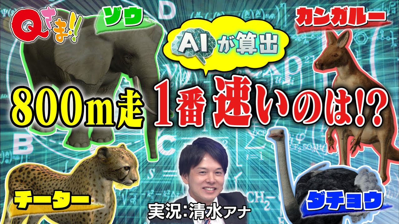 【AIで順位を算出】スピード自慢の動物が800m走で勝負！