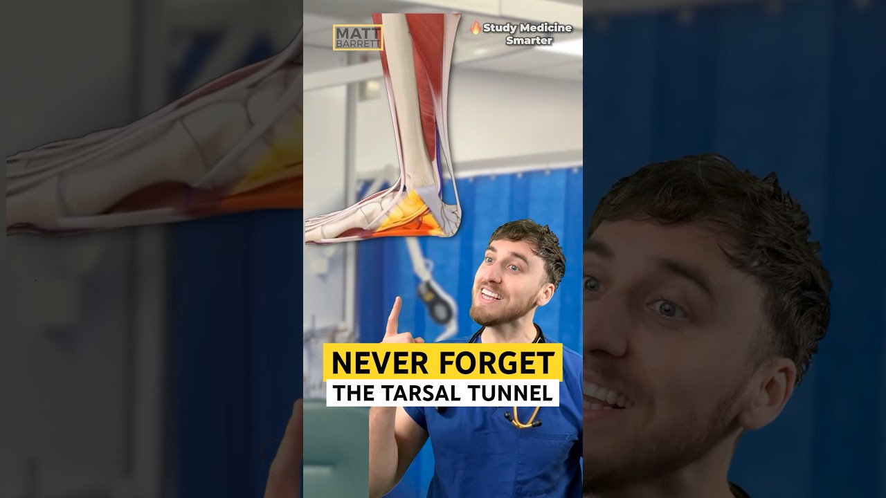 How to easily remember the tarsal tunnel