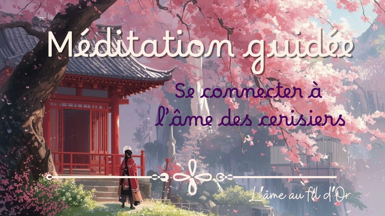 Méditation 🌺 Se connecter à l'âme des cerisiers 🌺