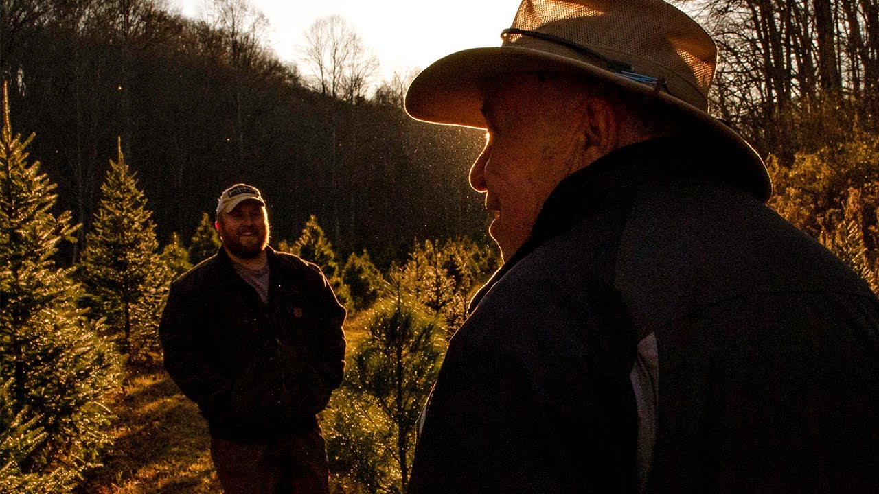 Wilkerson Christmas Tree Farm