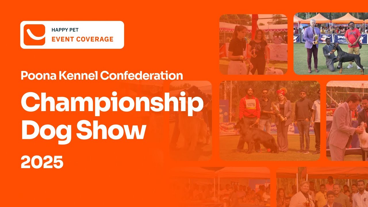Pune Dog Show 2025 | Beagle & GSD Speciality | Best Moments from the 3-Day Event!