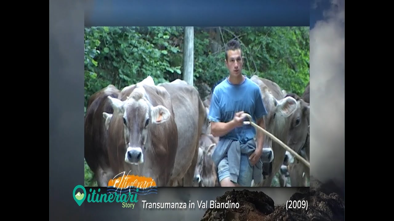 ITINERARI STORY: TRANSUMANZA IN BIANDINO, INIZIA LA STAGIONE IN ALPEGGIO
