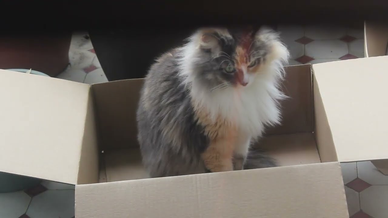 una habitación interior