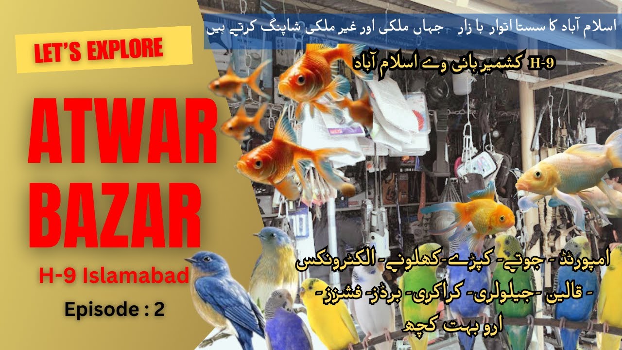 Islamabad's Itwar Bazar Adventure: Exploring Seafood, Pets, and More!