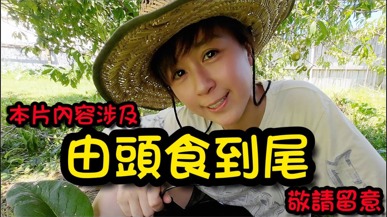 仲會去中國城😳究竟呢個人喺紐西蘭搞乜？🤷🏻‍♀️(附中文字幕)