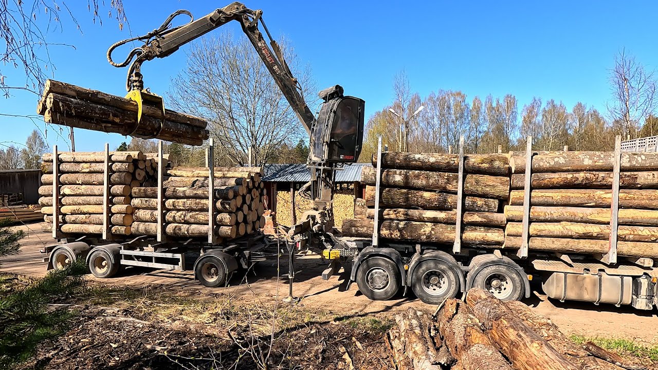 Timber loading. Aspen logs from multiple places